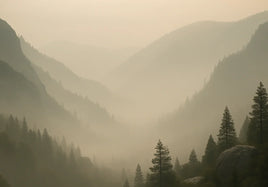 Fog fills a mountain valley as layered ridges recede behind defined foreground pines and rocks.