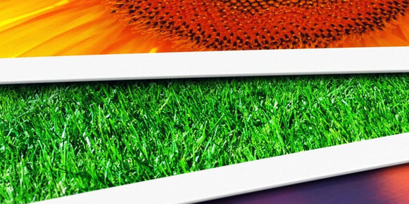 Should You Add Borders to Your Art Prints? - The Stackhouse Printery Printery