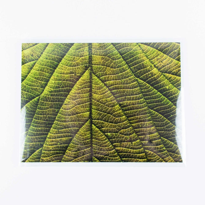 Retail Ready Prints 6x6 - The Stackhouse Printery