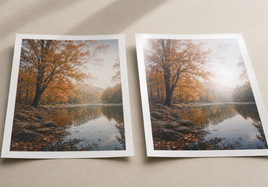 Fine art and professional photo papers compared for archival printing myths