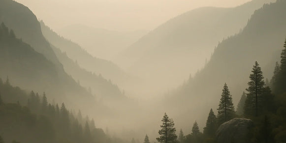 Fog fills a mountain valley as layered ridges recede behind defined foreground pines and rocks.
