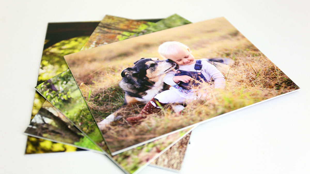 What’s the Difference Between Loose Prints and Mounted Prints?