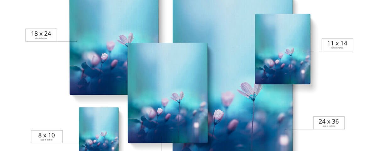 Aspect Ratio Guide for Art Prints and Photos | Stackhouse