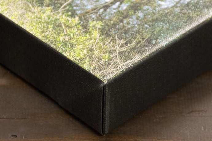 Black or White See the Edge Treatments