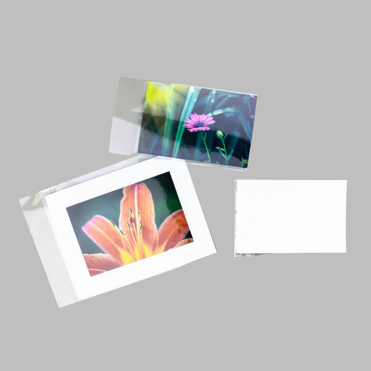 Clear bagged print package