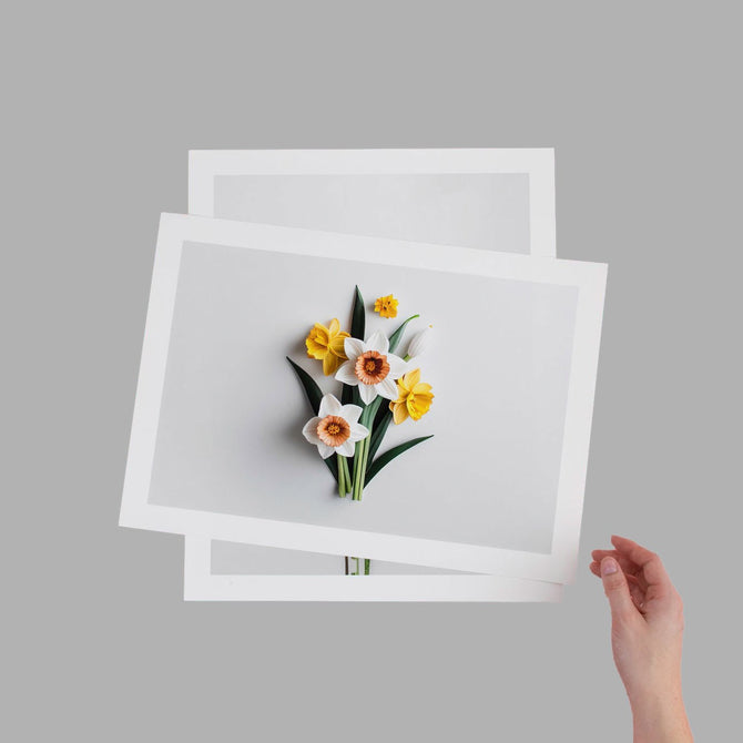 Giclee Fine Art Prints - The Stackhouse Printery