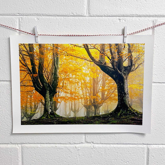 Loose Canvas Prints 4x6 - The Stackhouse Printery