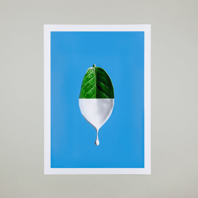 Photo Prints 24x36 - The Stackhouse Printery