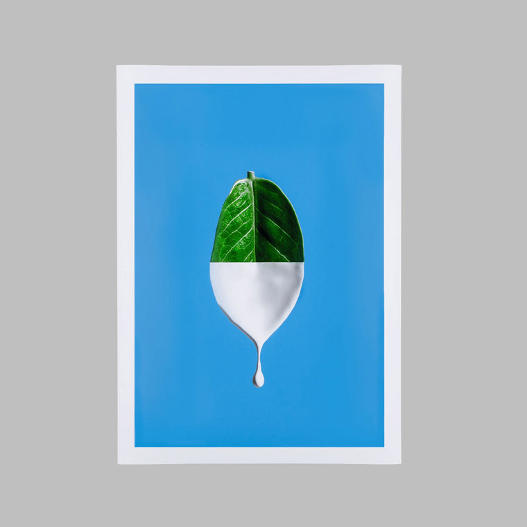 Professional photo print samples