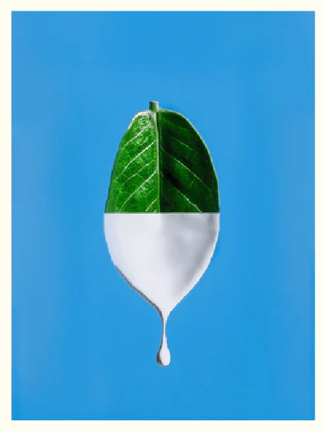 Leaf artwork print on blue background