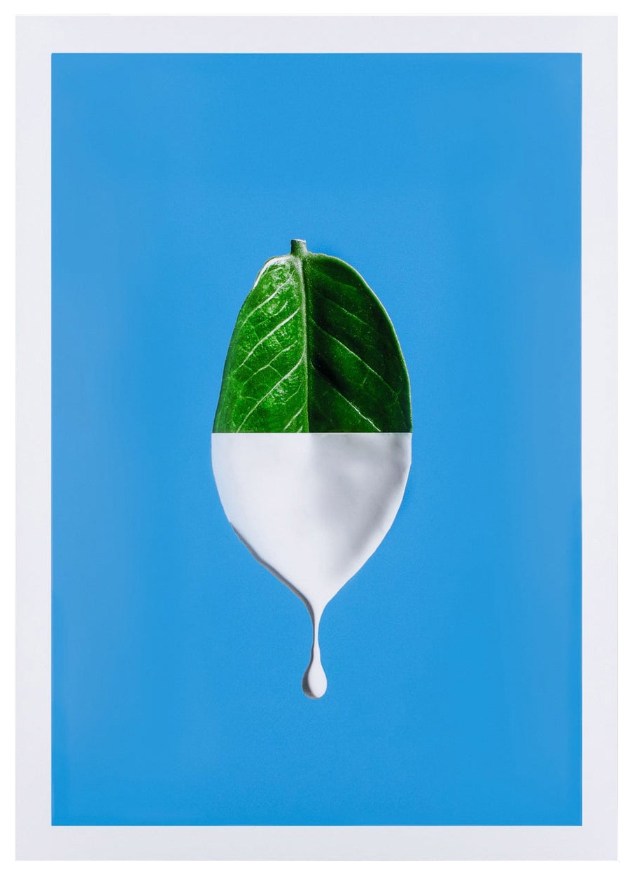 Professional photo print with vivid color and sharp detail